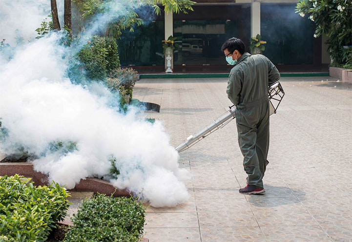 Dịch vụ diệt côn trùng mối kiến sinh tại Hà Nội