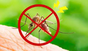 dịch vụ phun muỗi tại nhà