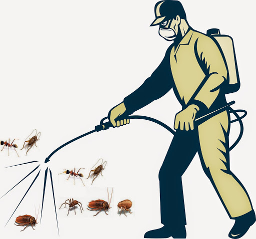diệt côn trùng