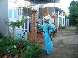 Dịch vụ phun thuốc muỗi uy tín tại Hà Giang